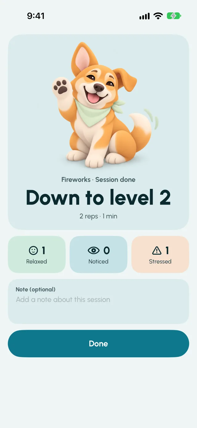 Session result after a Fireworks session
