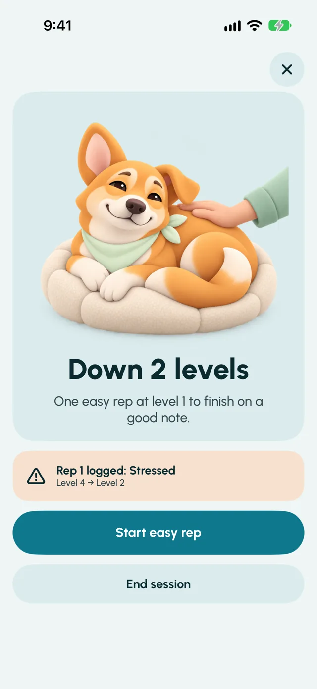 The ladder stepping down two levels after a stressed rep
